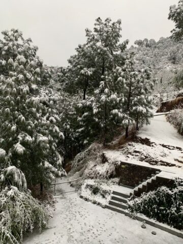 Balcony view during Snowfall