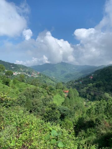 Homestay as viewed from Mohan Meakin Road