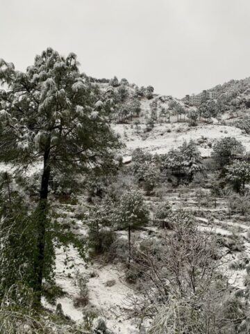 View from Ballcony during Snowfall
