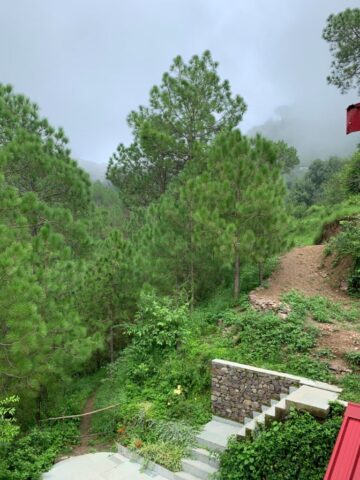 View from Top balcony